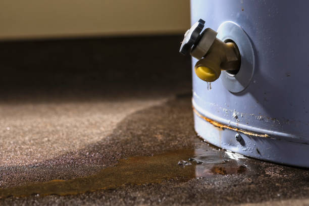  Rome, IL Water damage restoration Pros