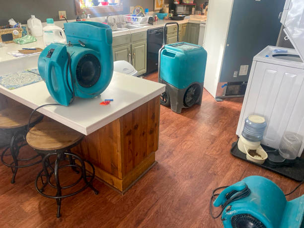 Best Professional water damage repair  in Rome, IL