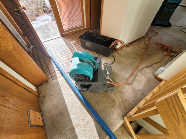 Best Residential water damage restoration  in Rome, IL