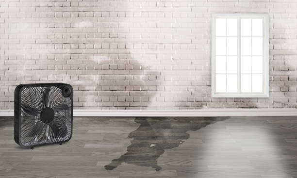 Best 24/7 water damage repair  in Rome, IL