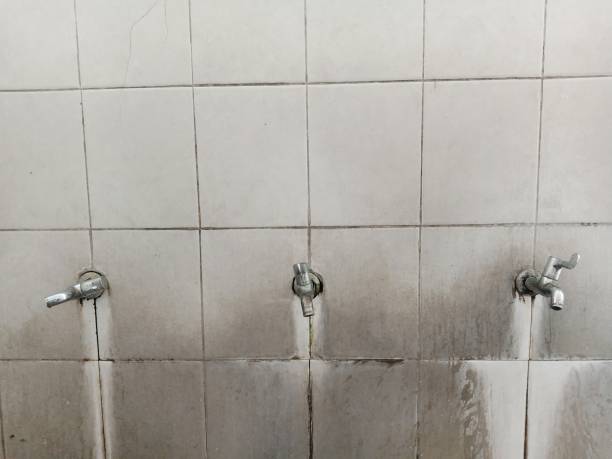 Best Commercial water damage restoration  in Rome, IL