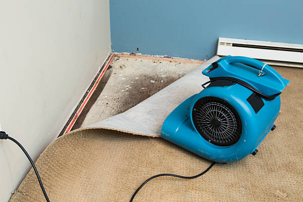 Best Local water damage restoration  in Rome, IL
